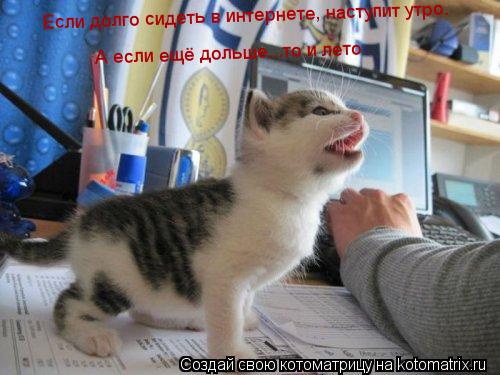 Если долго сидеть в интернете, наступит утро. А если ещё дольше...то и лето... Котоматрица: Если долго сидеть в интернете, наступит утро. А если ещё дольше...то и лето