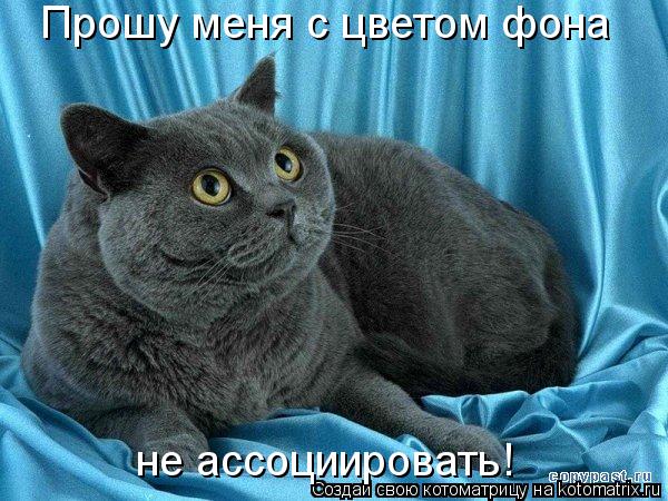 Прошу меня с цветом фона не ассоциировать!... Котоматрица: Прошу меня с цветом фона не ассоциировать!