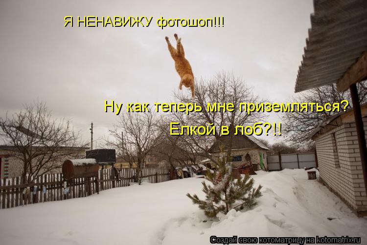 Я НЕНАВИЖУ фотошоп!!! Ну как теперь мне приземляться? Елкой в лоб?!!... Котоматрица: Я НЕНАВИЖУ фотошоп!!! Ну как теперь мне приземляться? Елкой в лоб?!!