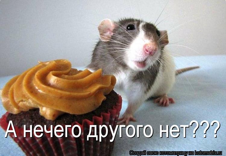 А нечего другого нет???... Котоматрица: А нечего другого нет???