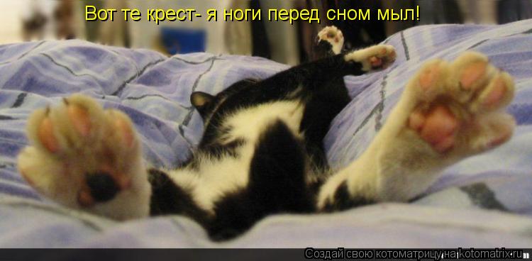 Вот те крест- я ноги перед сном мыл!... Котоматрица: Вот те крест- я ноги перед сном мыл!