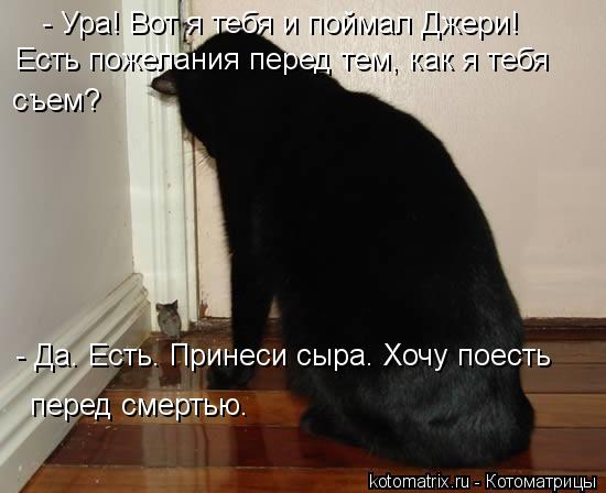 - Ура! Вот я тебя и поймал Джери! Есть пожелания перед тем, как я тебя съем? - Да. Есть. Принеси сыр... Котоматрица: - Ура! Вот я тебя и поймал Джери! Есть пожелания перед тем, как я тебя съем? - Да. Есть. Принеси сыра. Хочу поесть перед смертью.