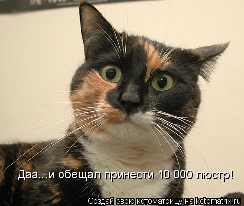 Даа...и обещал принести 10 000 люстр!... Котоматрица: Даа...и обещал принести 10 000 люстр!