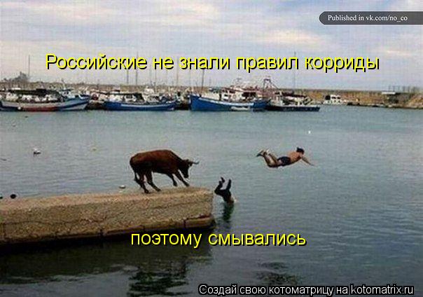 Российские не знали правил корриды поэтому смывались... Котоматрица: Российские не знали правил корриды поэтому смывались