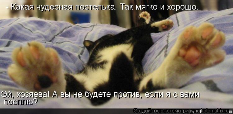 - Какая чудесная постелька. Так мягко и хорошо. Эй, хозяева! А вы не будете против, если я с вами по... Котоматрица: - Какая чудесная постелька. Так мягко и хорошо. Эй, хозяева! А вы не будете против, если я с вами посплю?