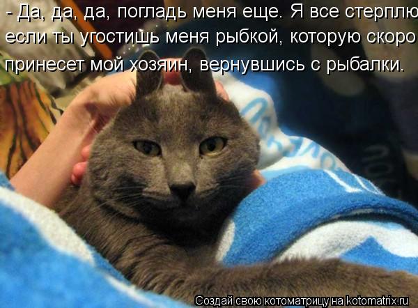 - Да, да, да, погладь меня еще. Я все стерплю, если ты угостишь меня рыбкой, которую если ты угостиш... Котоматрица: - Да, да, да, погладь меня еще. Я все стерплю, если ты угостишь меня рыбкой, которую если ты угостишь меня рыбкой, которую скоро принесет мой х