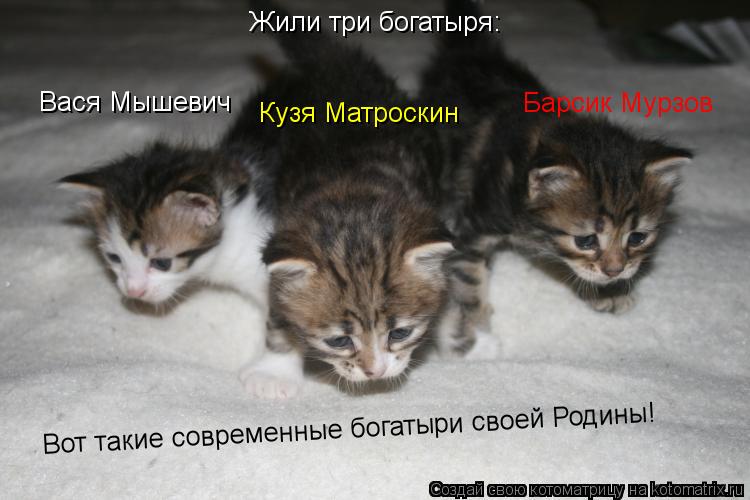 Жили три богатыря: Вася Мышевич Кузя Матроскин Барсик Мурзов Вот такие современные богатыри своей Род... Котоматрица: Жили три богатыря: Вася Мышевич Кузя Матроскин Барсик Мурзов Вот такие современные богатыри своей Родины!