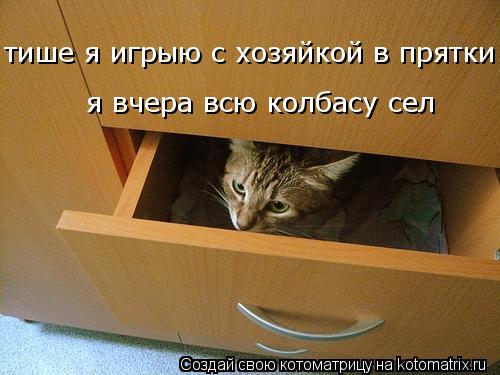тише я игрыю с хозяйкой в прятки я вчера всю колбасу сел... Котоматрица: тише я игрыю с хозяйкой в прятки я вчера всю колбасу сел