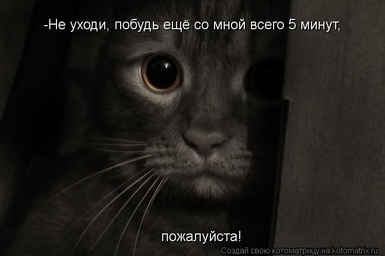 -Не уходи, побудь ещё со мной всего 5 минут, пожалуйста!... Котоматрица: -Не уходи, побудь ещё со мной всего 5 минут, пожалуйста!