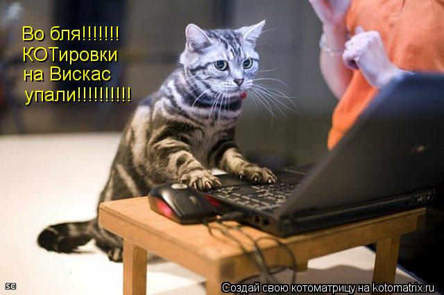Во бля!!!!!!! КОТировки на Вискас упали!!!!!!!!!!... Котоматрица: Во бля!!!!!!! КОТировки на Вискас упали!!!!!!!!!!