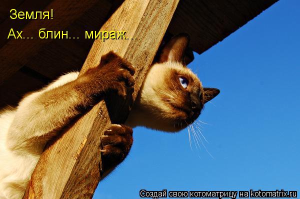 Земля! Ах... блин... мираж...... Котоматрица: Земля! Ах... блин... мираж...