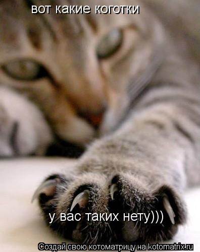 вот какие коготки у вас таких нету)))... Котоматрица: вот какие коготки у вас таких нету)))