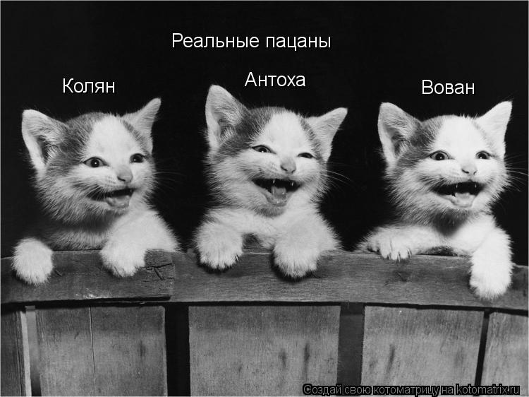 Реальные пацаны Колян Антоха Вован... Котоматрица: Реальные пацаны Колян Антоха Вован