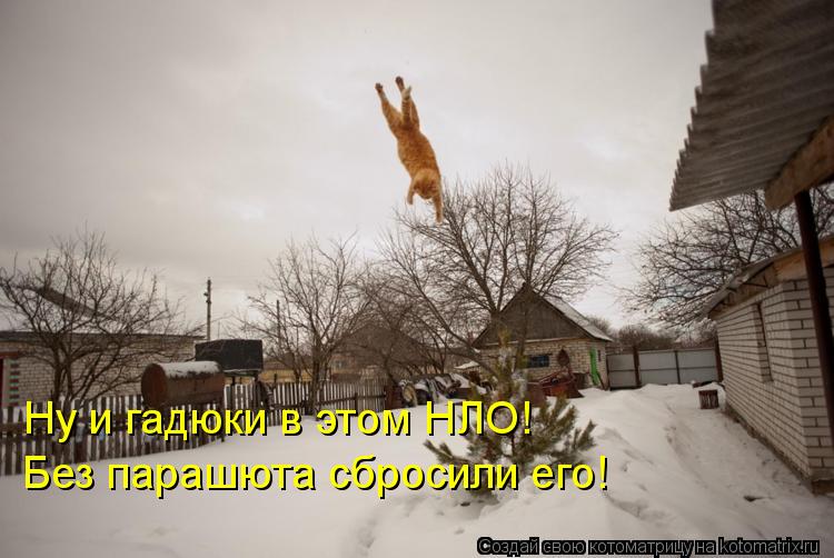 Ну и гадюки в этом НЛО! Без парашюта сбросили его!... Котоматрица: Ну и гадюки в этом НЛО! Без парашюта сбросили его!