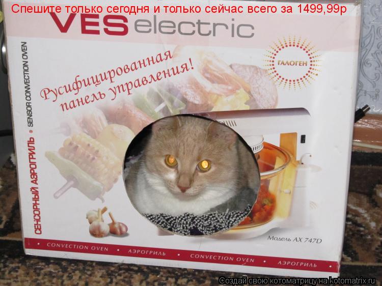 Спешите только сегодня и только сейчас всего за 1499,99р... Котоматрица: Спешите только сегодня и только сейчас всего за 1499,99р