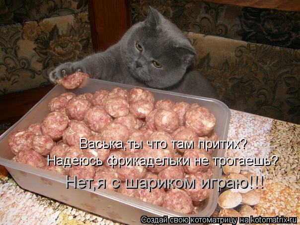 Васька,ты что там притих? Надеюсь фрикадельки не трогаешь? Нет,я с шариком играю!!!... Котоматрица: Васька,ты что там притих? Надеюсь фрикадельки не трогаешь? Нет,я с шариком играю!!!