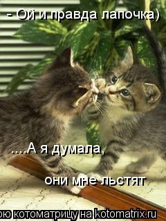 - Ой и правда лапочка) ....А я думала, они мне льстят... Котоматрица: - Ой и правда лапочка) ....А я думала, они мне льстят