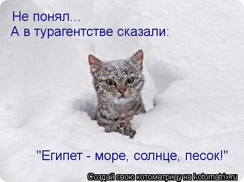 Не понял... "Египет - море, солнце, песок!" А в турагентстве сказали:... Котоматрица: Не понял... "Египет - море, солнце, песок!" А в турагентстве сказали: