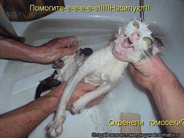 Помогите-е-е-е-е-е!!!!!Насилуют!! Помогите-е-е-е-е-е!!!!!Насилуют!! Охренели гомосеки?... Котоматрица: Помогите-е-е-е-е-е!!!!!Насилуют!! Помогите-е-е-е-е-е!!!!!Насилуют!! Охренели гомосеки?