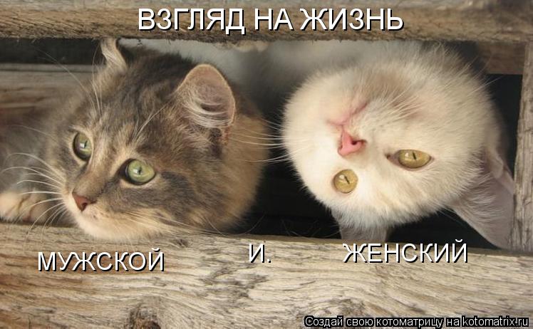 МУЖСКОЙ И. ЖЕНСКИЙ ВЗГЛЯД НА ЖИЗНЬ... Котоматрица: МУЖСКОЙ И. ЖЕНСКИЙ ВЗГЛЯД НА ЖИЗНЬ