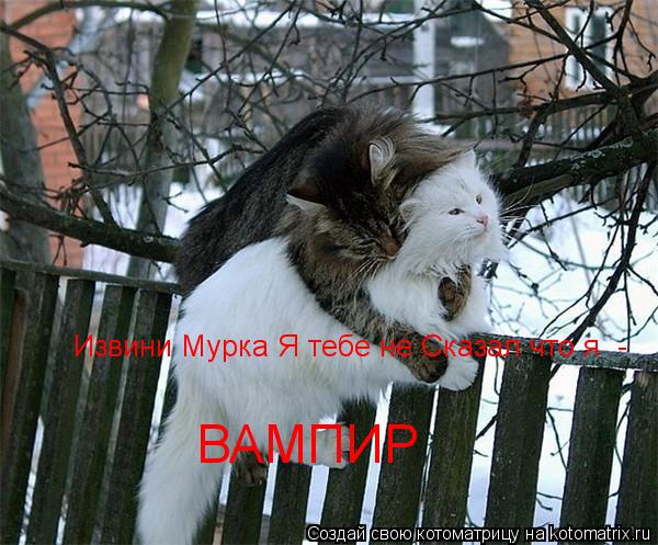 Извини Мурка Я тебе не Сказал что я - ВАМПИР... Котоматрица: Извини Мурка Я тебе не Сказал что я - ВАМПИР