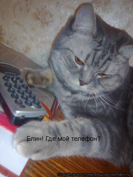 Блин! Где мой телефон?... Котоматрица: Блин! Где мой телефон?