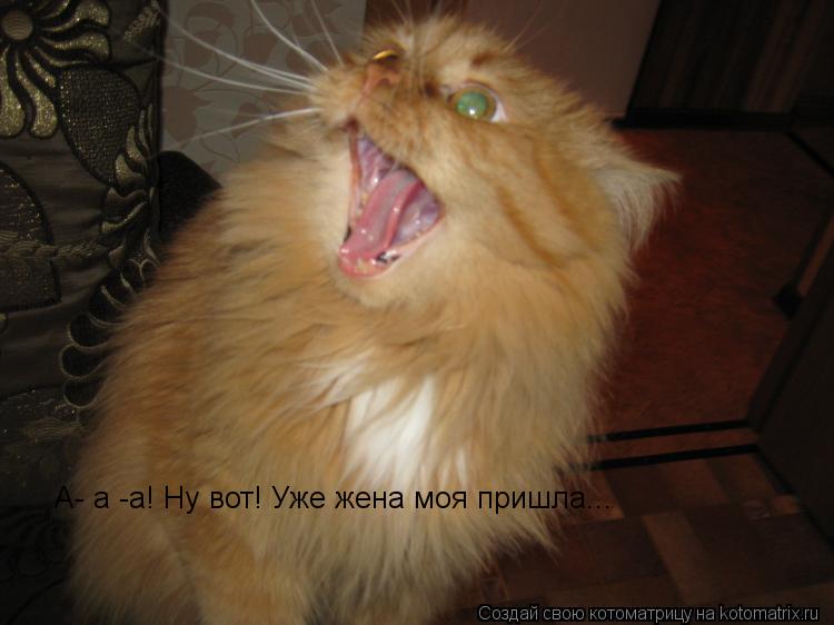 А- а -а! Ну вот! Уже жена моя пришла...... Котоматрица: А- а -а! Ну вот! Уже жена моя пришла...