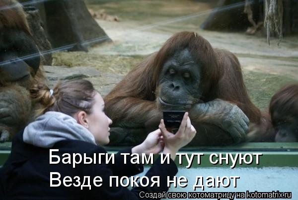 Барыги там и тут снуют Везде покоя не дают... Котоматрица: Барыги там и тут снуют Везде покоя не дают
