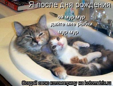 Я после дня рождения ой мур мур дайте мне рыбки мур мур... Котоматрица: Я после дня рождения ой мур мур дайте мне рыбки мур мур