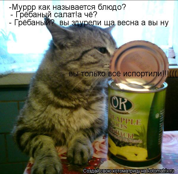 -Муррр как называется блюдо? - Грёбаный салат!а чё? - Грёбаный? вы здурели ща весна а вы ну вы толь... Котоматрица: -Муррр как называется блюдо? - Грёбаный салат!а чё? - Грёбаный? вы здурели ща весна а вы ну вы только всё испортили!!!(((