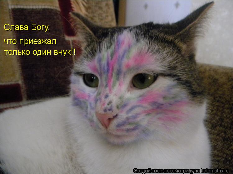 Слава Богу, что приезжал только один внук!!... Котоматрица: Слава Богу, что приезжал только один внук!!