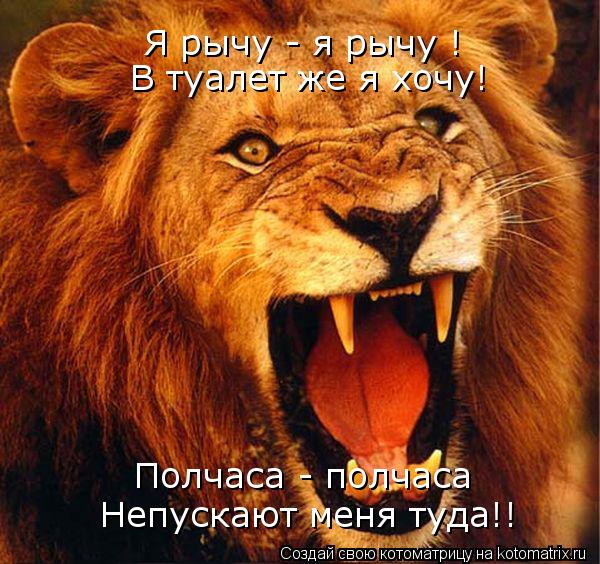 Я рычу - я рычу ! В туалет же я хочу! Полчаса - полчаса Непускают меня туда!!... Котоматрица: Я рычу - я рычу ! В туалет же я хочу! Полчаса - полчаса Непускают меня туда!!