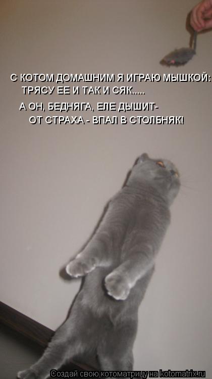 С КОТОМ ДОМАШНИМ Я ИГРАЮ МЫШКОЙ: ТРЯСУ ЕЕ И ТАК И СЯК..... А ОН, БЕДНЯГА, ЕЛЕ ДЫШИТ- ОТ СТРАХА - ВПАЛ... Котоматрица: С КОТОМ ДОМАШНИМ Я ИГРАЮ МЫШКОЙ: ТРЯСУ ЕЕ И ТАК И СЯК..... А ОН, БЕДНЯГА, ЕЛЕ ДЫШИТ- ОТ СТРАХА - ВПАЛ В СТОЛБНЯК!