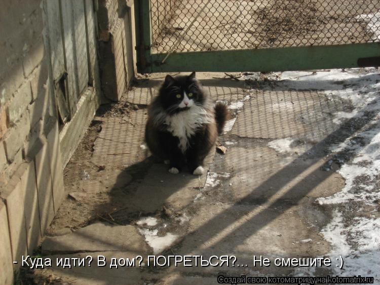 - Куда идти? В дом? ПОГРЕТЬСЯ?... Не смешите :)... Котоматрица: - Куда идти? В дом? ПОГРЕТЬСЯ?... Не смешите :)