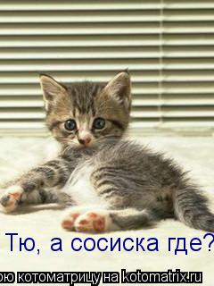 Тю, а сосиска где?... Котоматрица: Тю, а сосиска где?