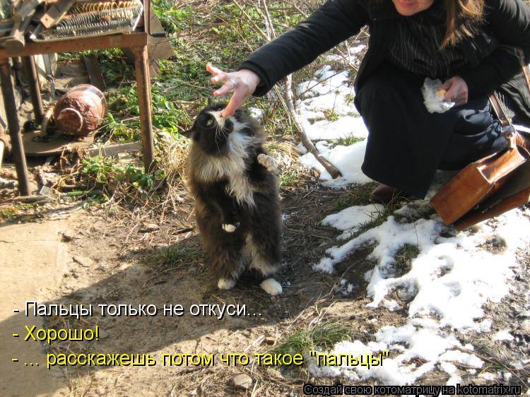 - Хорошо! - Пальцы только не откуси... - ... расскажешь потом что такое "пальцы"... Котоматрица: - Хорошо! - Пальцы только не откуси... - ... расскажешь потом что такое "пальцы"