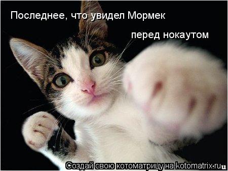 Последнее, что увидел Мормек перед нокаутом... Котоматрица: Последнее, что увидел Мормек перед нокаутом