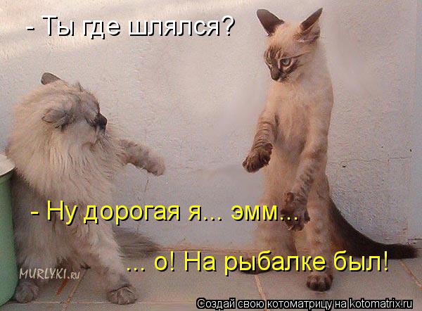 - Ты где шлялся - Ты где шлялся? - Ну дорогая я... эмм... ... о! На рыбалке был!... Котоматрица: - Ты где шлялся - Ты где шлялся? - Ну дорогая я... эмм... ... о! На рыбалке был!