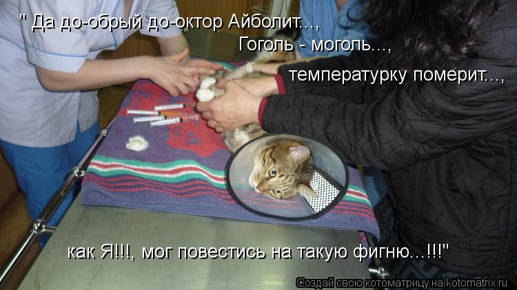 " Да до-обрый до-октор Айболит..., Гоголь - моголь..., температурку померит..., как Я!!!, мог повести... Котоматрица: " Да до-обрый до-октор Айболит..., Гоголь - моголь..., температурку померит..., как Я!!!, мог повестись на такую фигню...!!!"
