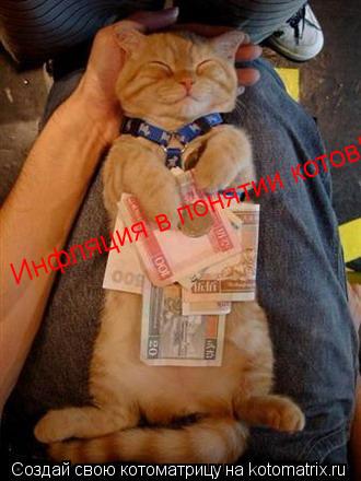 Инфляция в понятии котов!... Котоматрица: Инфляция в понятии котов!