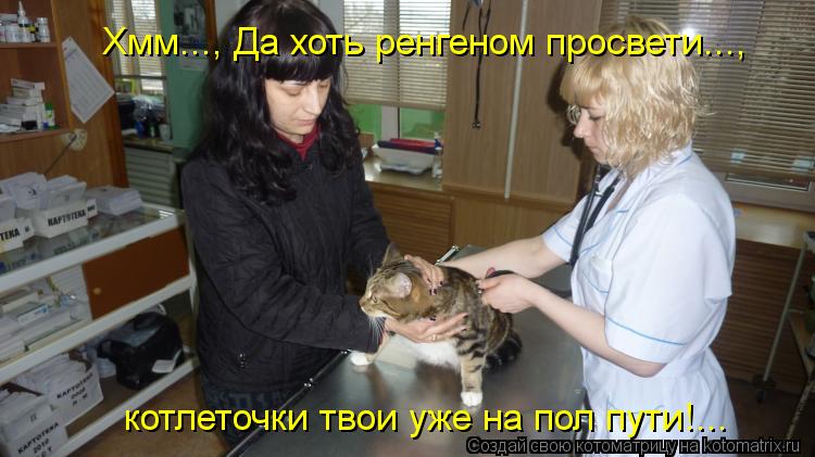 Хмм..., Да хоть ренгеном просвети..., котлеточки твои уже на пол пути!...... Котоматрица: Хмм..., Да хоть ренгеном просвети..., котлеточки твои уже на пол пути!...