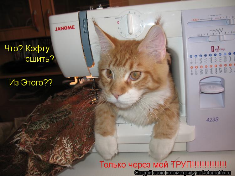 Что? Кофту сшить? Из Этого?? Только через мой ТРУП!!!!!!!!!!!!!!... Котоматрица: Что? Кофту сшить? Из Этого?? Только через мой ТРУП!!!!!!!!!!!!!!