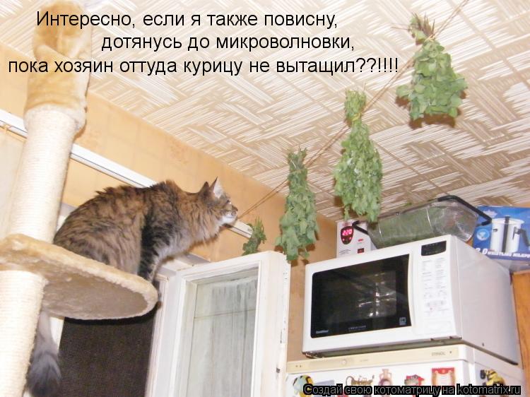 Интересно, если я также повисну, дотянусь до микроволновки, пока хозяин оттуда курицу не вытащил??!!!... Котоматрица: Интересно, если я также повисну, дотянусь до микроволновки, пока хозяин оттуда курицу не вытащил??!!!!