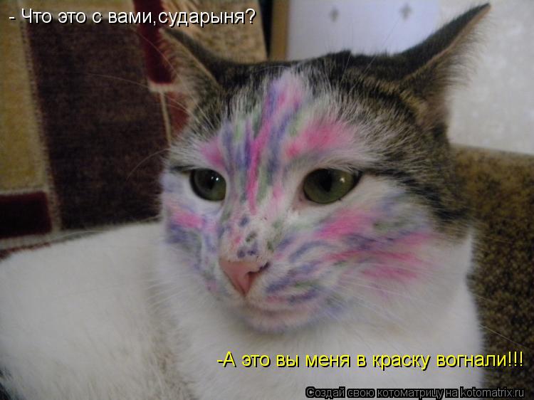 - Что это с вами,сударыня? -А это вы меня в краску вогнали!!!... Котоматрица: - Что это с вами,сударыня? -А это вы меня в краску вогнали!!!