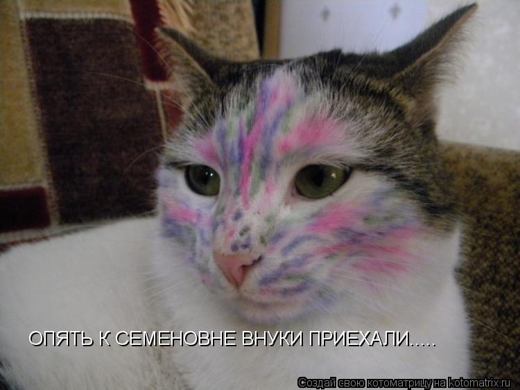ОПЯТЬ К СЕМЕНОВНЕ ВНУКИ ПРИЕХАЛИ........ Котоматрица: ОПЯТЬ К СЕМЕНОВНЕ ВНУКИ ПРИЕХАЛИ.....