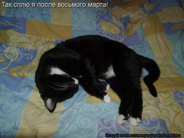 Так сплю я после восьмого марта!... Котоматрица: Так сплю я после восьмого марта!