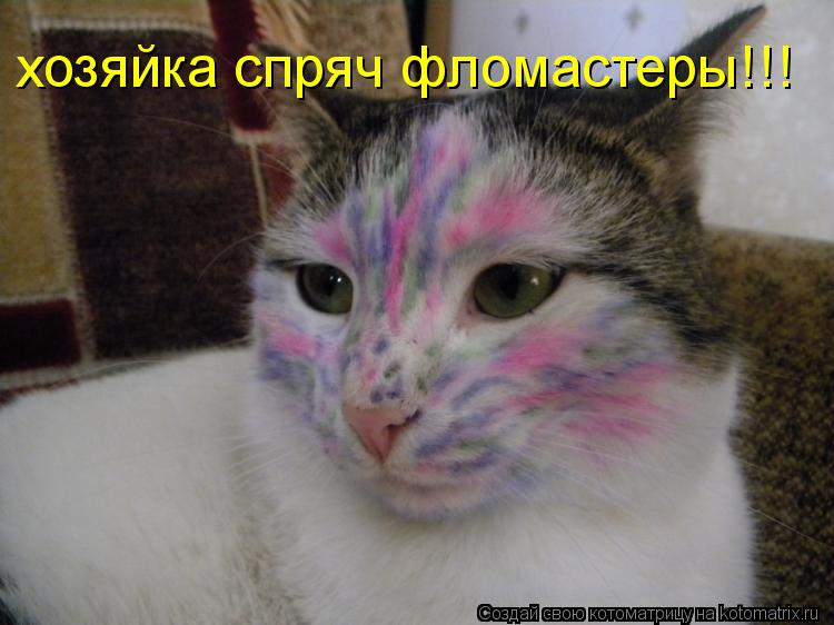 хозяйка спряч фломастеры!!!... Котоматрица: хозяйка спряч фломастеры!!!