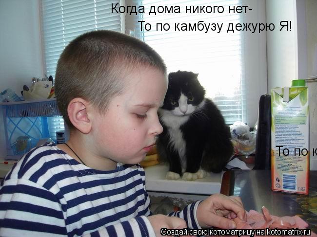 Когда дома никого нет- То по камбузу дежурю Я! То по камбузу дежурю Я!... Котоматрица: Когда дома никого нет- То по камбузу дежурю Я! То по камбузу дежурю Я!
