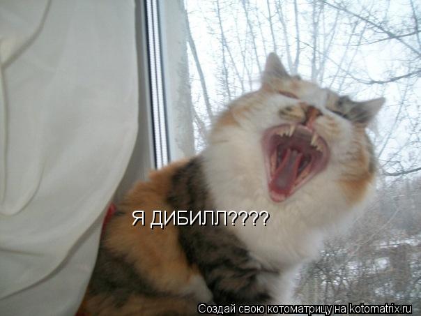 Я ДИБИЛЛ????... Котоматрица: Я ДИБИЛЛ????