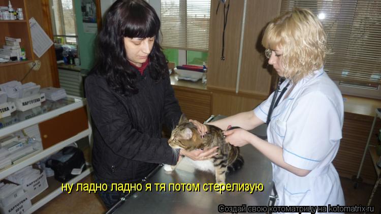 ну ладно ладно я тя потом стерелизую... Котоматрица: ну ладно ладно я тя потом стерелизую